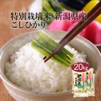 米 お米 米20kg 白米 送料無料 コシヒカリ 新潟県産 20kg こめ20kg 米20キロ お米20キロ 精米 単一原料米 令和6年産 高級 特別栽培米