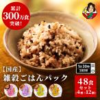 米 お米 パックご飯 160g ご飯パック レトルト 小分けご飯 雑穀米 玄米 もち麦 4種48個 ごはん ご飯 玄米 パック 玄米パックご飯 安い レトルト 小分け 発芽玄米