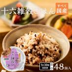 米 お米 ご飯パック 160g 十六雑穀48個セット おくさま印 お米 レトルト 小分け 長期保存 無添加 国産 レンジで簡単 温めるだけ 送料無料