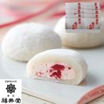  Okayama создание Meiji 4 год [ Fukui .] сырые сливки большой удача клубника ×10 комплект [ производство прямой * производитель прямая поставка товар ]