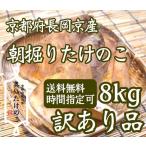 京都産たけのこ