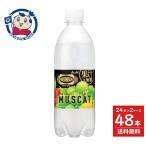 アサヒ ウィルキンソン タンサン ザ フルーティーマスカット 490ml×24本入×2ケース 発売日:2025年8月19日