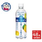 ダイドー 和ノチカラ 有機レモン使用炭酸水 500ml×24本入×2ケース 栄養機能食品 ダイドードリンコ 和ノチカラ マグネシウム ビタミンB6 無糖 炭酸水 健康飲料
