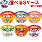 東洋水産 マルちゃんワンタン 選べ