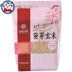 . ... прорастание неочищенный рис 500g×8 штук ×1 кейс 