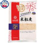 . ... рис шарик пшеница 800gx6 штук ×1 кейс 