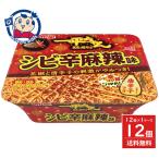  яркая звезда еда один flat Chan ночь магазин. . соба sibi. лен . тест 114g×12 штук ×1 кейс продажа день :2026 год 1 месяц 12 день 