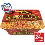  яркая звезда еда один flat Chan ночь магазин. . соба sibi. лен . тест 114g×12 штук ×2 кейс продажа день :2026 год 1 месяц 12 день 