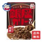 明治 銀座カリー 辛口 180g×30個入×2
