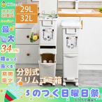 ゴミ箱 分別 スリム フタ付き おしゃれ ごみ箱 2タイプ 29L 32L  プッシュオープン ペダル式 資源ごみ 便利 大容量 仕分け スタイリッシュ 北欧 省スペース