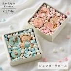 ショッピングお菓子 ギフト クッキー缶 ジェンダーリビール　boy girl　性別発表 クッキー お菓子 出産祝い サプライズ お返し アイシングクッキー アソートクッキー いちごはん