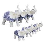 �y���s�A���i�z Ebros �M�t�g �Ɣ� �e���R�b�^�~���X�^�C�� �~�j�`���A �^�C ���� �� �g�����N�X �A�b�v �t�B�M���A7�Z�b�g