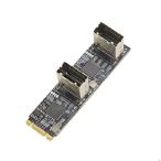 【並行輸入品】 8 Port Non-RAID SATA III 6