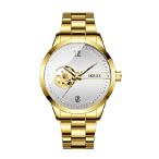 【並行輸入品】 FORSINING Mens Mechanical Tourbillon Watches Self-Wi