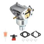 【並行輸入品】 LiGuVCY Carburetor Kit 150