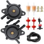 【並行輸入品】 Fuel Pump with Strainers a