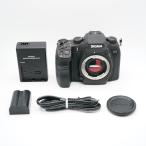 新品級 SIGMA シグマ SD1 Merrill ボディ