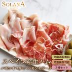 ポイント消化 送料無料 おつまみ 『スペイン産生ハム 最高級24ヶ月熟成ハモンイベリコ＆ハモンセラーノ 90g』お試し