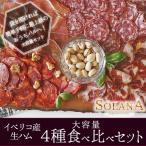 ポイント消化 送料無料 おつまみ スペイン直送生ハム＆サラミ4種盛り合わせ 食べ比べセット