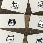¾¾Èø¥ß¥æ¥ ¥¢¥Ã¥×¥ê¥± Cat ¥á¡¼¥ëÊØÁ÷ÎÁ198±ß¡Á ¥¢¥¤¥í¥ó ¥ï¥Ã¥Ú¥ó¤ª¤·¤ã¤ì »É½« ¤³¤É¤â ưʪ Ç »¨²ß ¥°¥Ã¥º