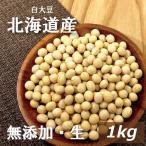 北海道産 白大豆 生 1ｋｇ 無添加 生大豆 （乾燥豆） グルメ