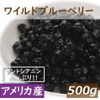 ショッピングブルーベリー ドライフルーツ 送料無料 ワイルドブルーベリー 500g アメリカ産 (野生種) ゆうパケット ドライブルーベリー ブルーベリー グルメ みのや