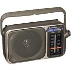 Panasonic RF-2400 AM/FM Radio, Silver by Panasonic