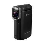 ソニー SONY ビデオカメラ Handycam GW77V