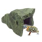  рептилии ракушка ta- Leo pa ящерица kana змея ящерица блокировка ракушка ta- очень большой длинный .. дом скала 