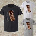 メンズ Tシャツ パロディ ブランド ランジェリー 下着 セクシー セクシーガール