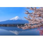  magnet sightseeing souvenir ( Mt Fuji * outfall lake . Sakura )