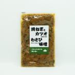 (送料込)焼きねぎとカツオの風味が香るわさびがピリッと効いた味噌×3袋(信州長野のお土産 信州味噌 信州みそ 安曇野わさび味噌 お惣菜 お総菜)