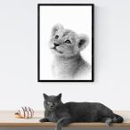  постер животное Bay Be искусство внутренняя панель campus иллюстрации абстрактная картина 