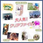 大人気 クリアファイル 韓流 アイドル ペット 部活 行事 ノベルティ グッズ オリジナル A4 5枚 セット