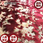 金華山 ネオプリンセス プリンセス 生地 トラック内装