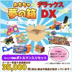 おもちゃ 夢の箱ＤＸ 男の子 ボトルマン入りセット　  6歳 7歳 8歳 小学生  お楽しみボックス  おたのしみ BOX 福袋 福箱 イベント お祭り 景品
