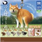 【8月予約】ふんばりーぬ どこでもふんばりーぬ ガチャ コンプリート