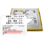 性病検査キット　ウレアプラズマ検査キット（尿）　男性用