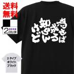 おもしろTシャツ ネタTシャツ 面白tシャツ【為せば成る 知らんけど】名言 パロディ 文字 格言 言葉 メンズ レディース 宴会 子供用 キッズ
