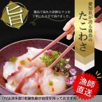 たこわさび 魚彦たこわさび 篠島タコ 愛知県篠島産 生冷凍 鮮度抜群 漁師直送 マダコ 真だこ 280g 地元を応援 土産 名物 お取り寄せグルメ 小分けタイプ