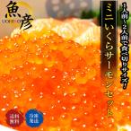 ＼対象商品2個ご購入で500円引き／ミニいくら サーモン はらこ飯セット いくら醤油漬 海鮮 鮭 おつまみ プレゼント 50代 60代70代 80代 ギフト 2025 ハロウィン