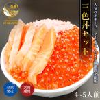 \対象商品2個購入で500円引/海鮮三色丼 ネギトロ いくら サーモン ギフト いくら ねぎとろ プレゼント 50代 60代70代 80代 ギフト 2025 お中元