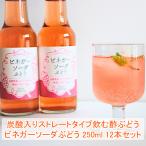 国産 ビネガーソーダぶどう250ml×12