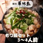 お中元 博多華味鳥 はなみどり もつ鍋セット 3〜4人前 M-A1 トリゼンフーズ ギフト のし対応可