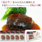  близко . корова гамбургер ( японский стиль ... соус ) 120g×5 шт. комплект мясной ... ka Rene Japan. . соответствует возможно 
