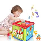 【送料無料】LAGERFEY Early Learning Shape Sorter Baby Toys 6 to 12 Months Educational M
