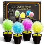 Science Kits for Kids, Crystal Growing Kit-Crystals Grow Fast in 24 Hours,