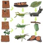 送料無料Life Cycle Figurines Toy Set of Butterflies Grasshoppers and Plants Figures
