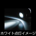 直送品 ジェットイノウエ LEDミニパイロットランプ ホワイト 528214  ※代引・返品不可