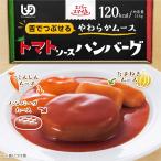 介護食 エバースマイル ムース食 トマトソースハンバーグ 115g×24個 大和製罐
